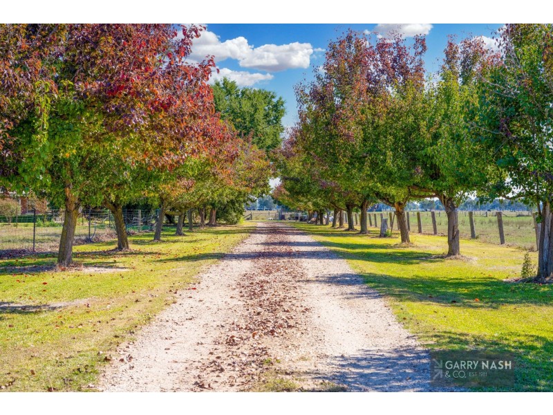 2246 Wangaratta – Whitfield Road, Docker VIC 3678