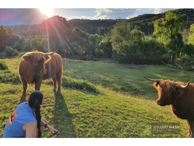 1371 Boggy Creek Road, Myrrhee VIC 3732