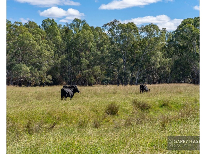 1816 Great Alpine Road, Everton VIC 3678