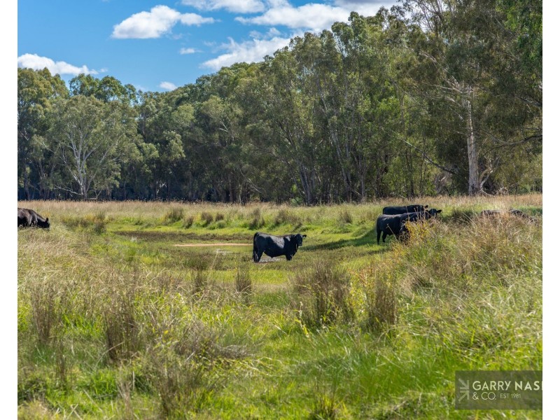1816 Great Alpine Road, Everton VIC 3678