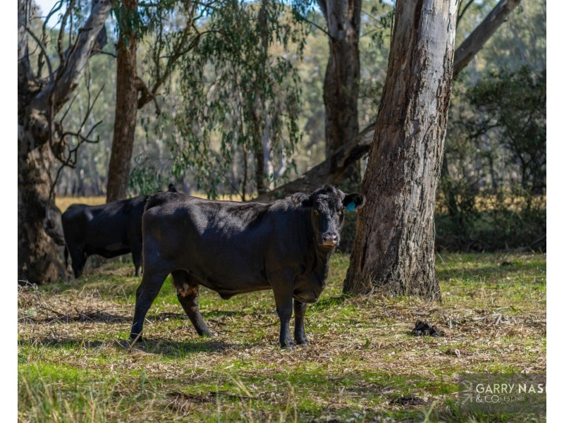 104 Ambrosio Road, North Wangaratta VIC 3678