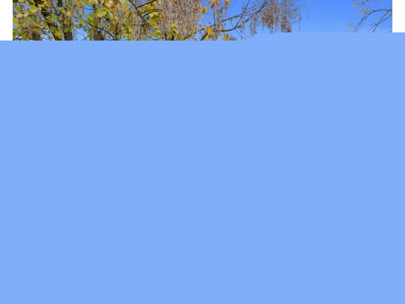 13 Hilandra Avenue, Wangaratta VIC 3677