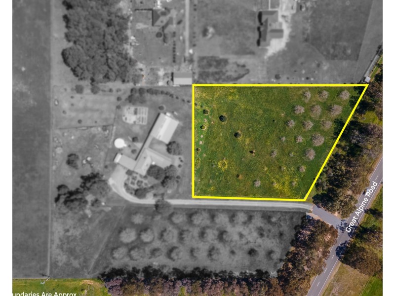 1/1236 Great Alpine Road, Tarrawingee VIC 3678