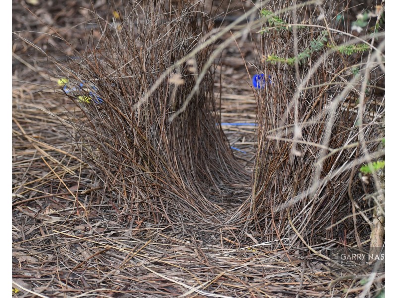 31 White Post Road, Everton VIC 3678