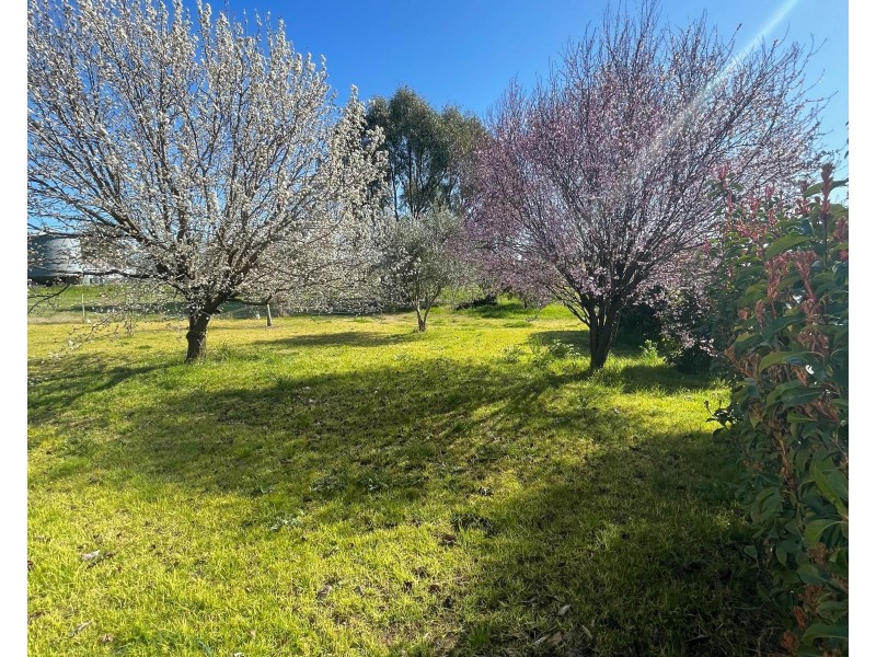 2288 Wangaratta Yarawonga Road, Peechelba VIC 3678