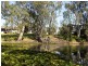 216 Wharparilla Drive, Echuca VIC 3564