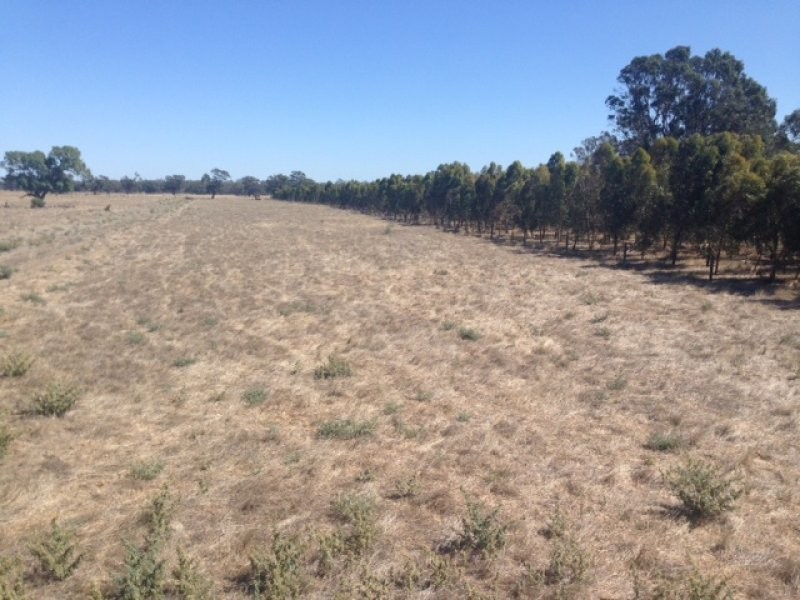 165 Young Road, Echuca VIC 3564