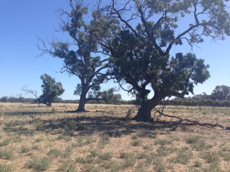 165 Young Road, Echuca VIC 3564