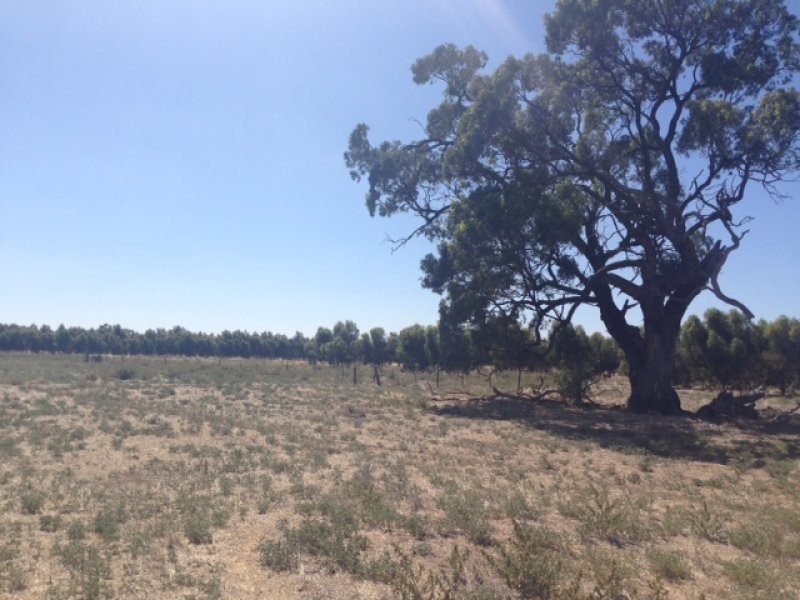 165 Young Road, Echuca VIC 3564