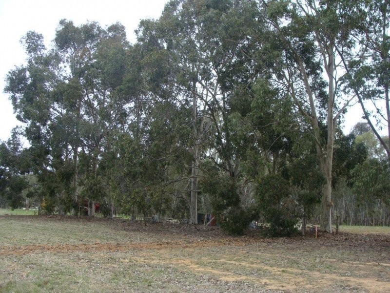Cnr Menzies Road & Anderson Road, Echuca VIC 3564