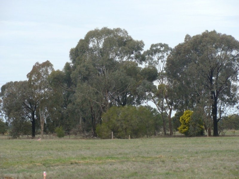 Cnr Menzies Road & Anderson Road, Echuca VIC 3564