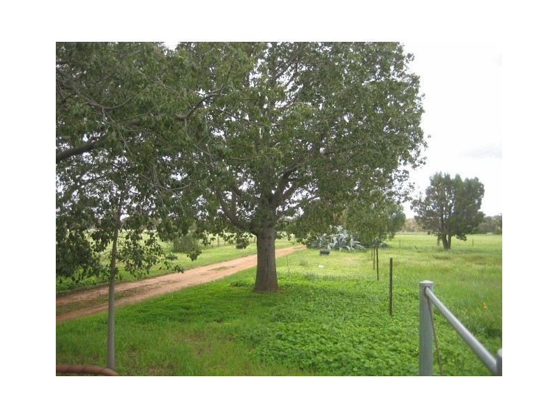 5523 Cobb Highway, Mathoura NSW 2710