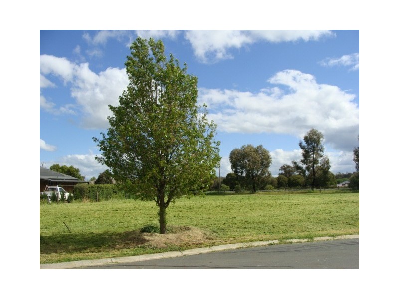 3 Pinot Court, Moama NSW 2731