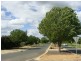 3 Pinot Court, Moama NSW 2731