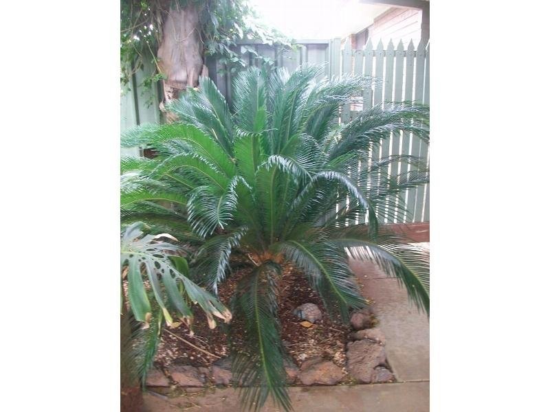 68 Shackell Street, Echuca VIC 3564