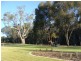 lot 5 Winbi Avenue, Moama NSW 2731