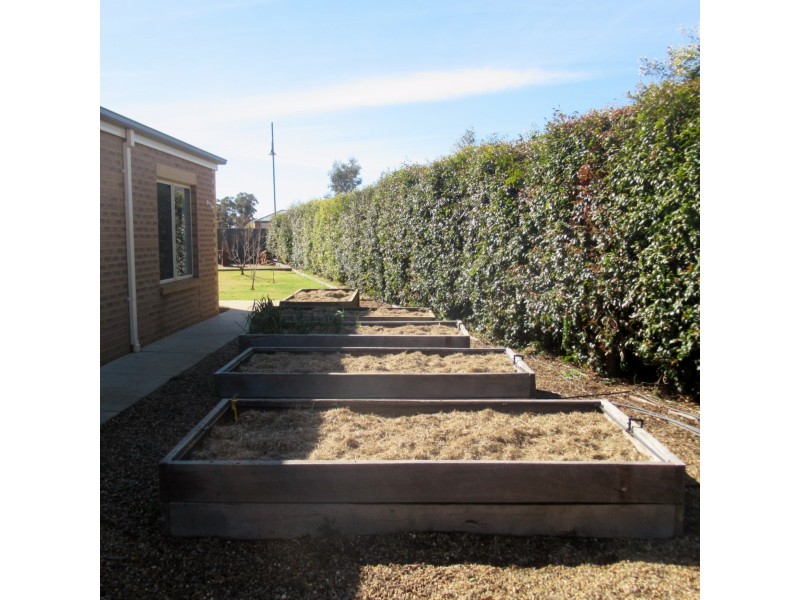 3 Burgundy Court, Moama NSW 2731