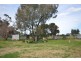669 Wharparilla Road, Echuca VIC 3564