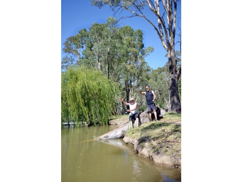 Cabin 125/00 Picnic Point Road, Mathoura NSW 2710