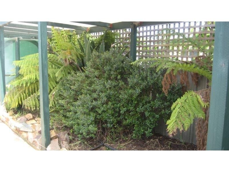 17 Iluka Avenue, Moama NSW 2731