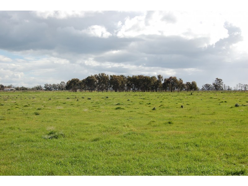 896 Rowe Road, Echuca VIC 3564
