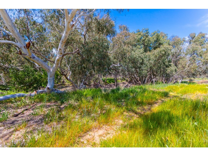99 Schoeffel Drive, Echuca VIC 3564