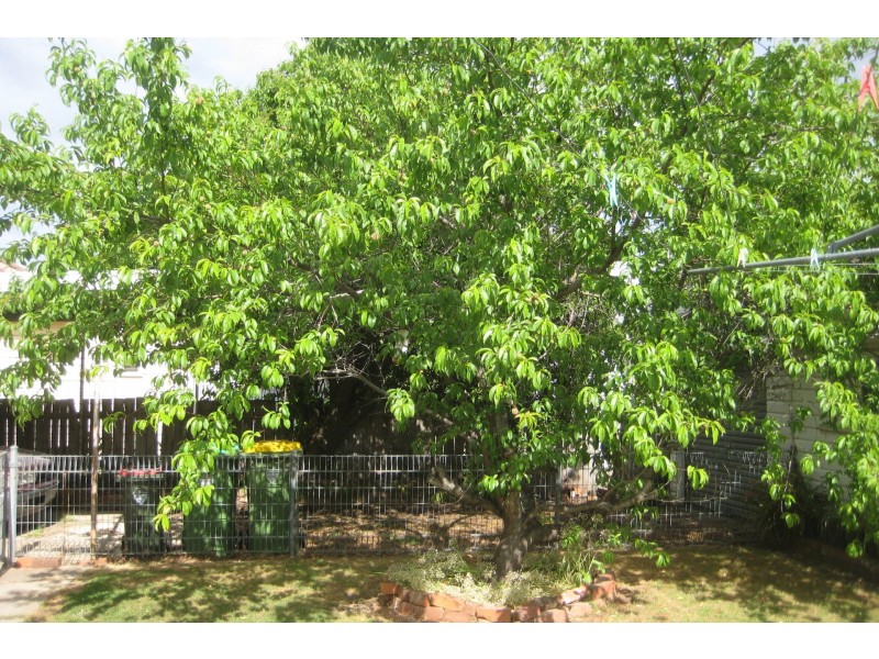 26 Simmie Street, Echuca VIC 3564