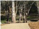 63 Bottlebrush Drive, Moama NSW 2731