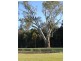 63 Bottlebrush Drive, Moama NSW 2731