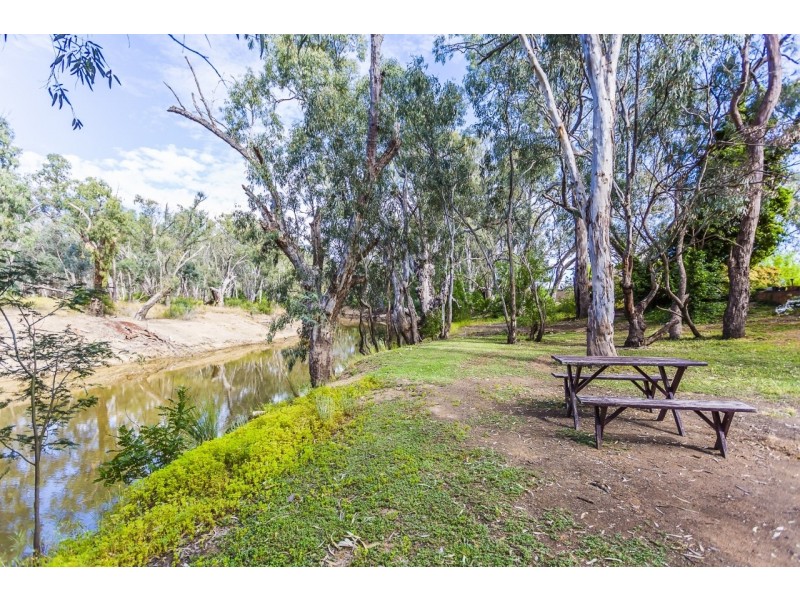 17 Henry Street, Echuca VIC 3564