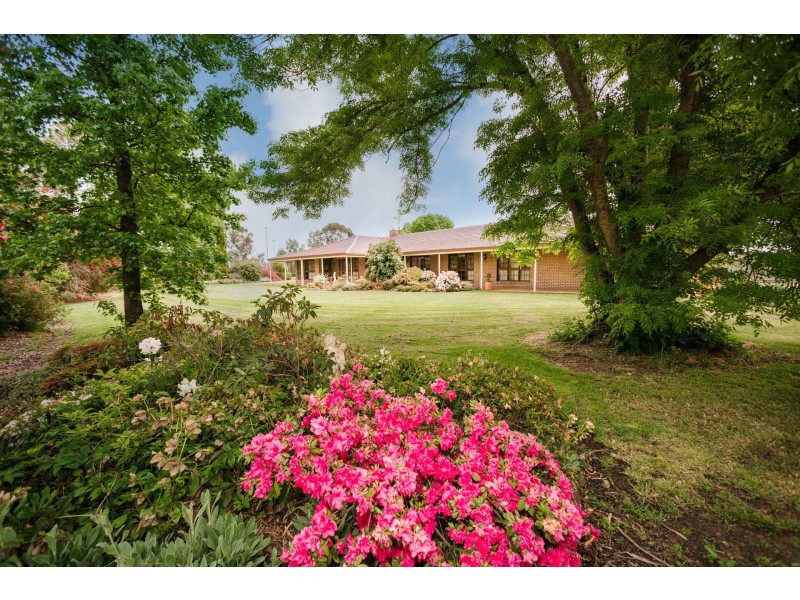 22 Maidensmith Drive, Moama NSW 2731