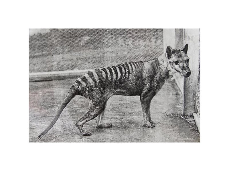 47 Aberdeen Way, Moama NSW 2731