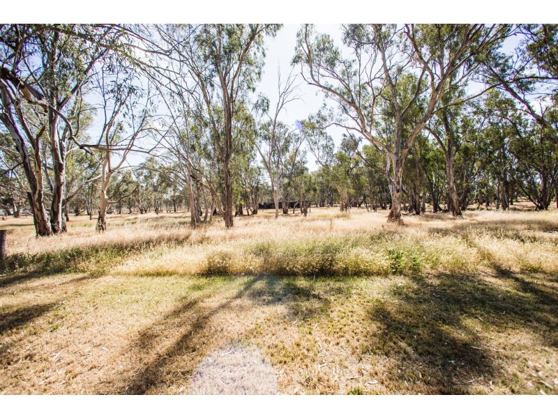 10 Hicks Crescent, Echuca VIC 3564