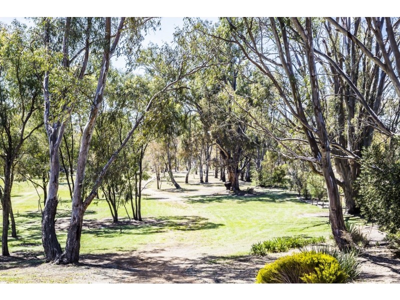 66 Wharparilla Drive, Echuca VIC 3564