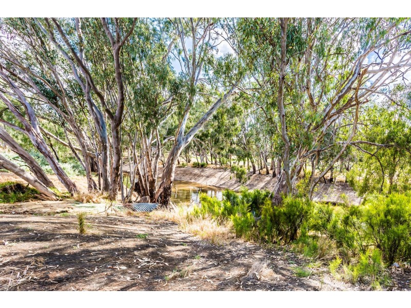 117 Campaspe Esplanade, Echuca VIC 3564