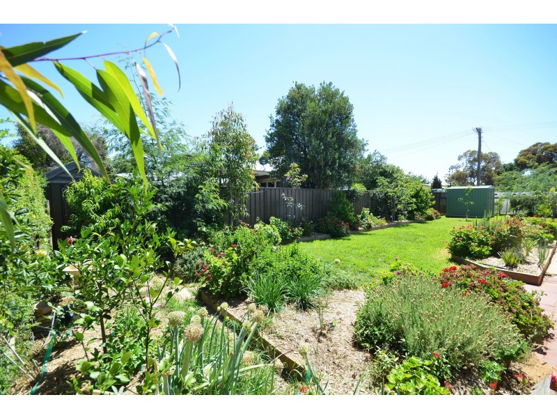 33 Mitchell Street, Echuca VIC 3564