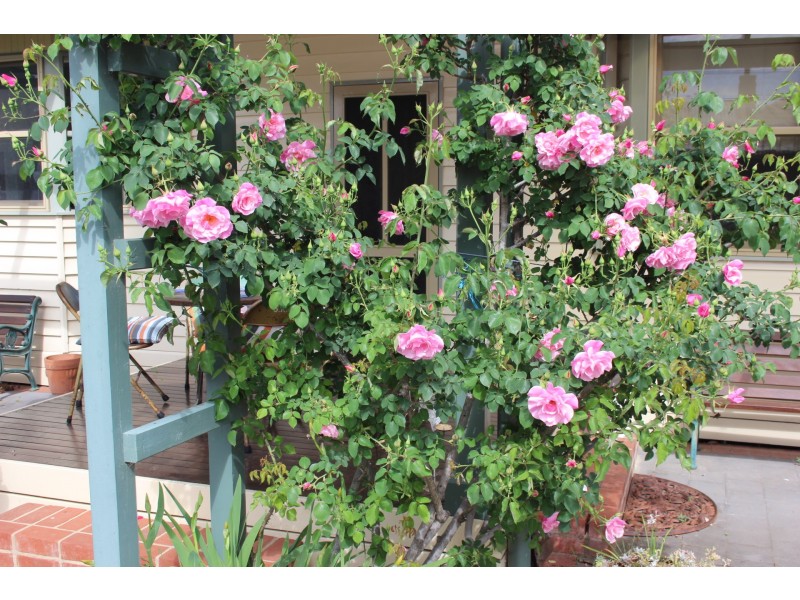 68 Francis Street, Echuca VIC 3564