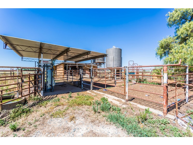 1020 Murphy Road, Koyuga VIC 3622