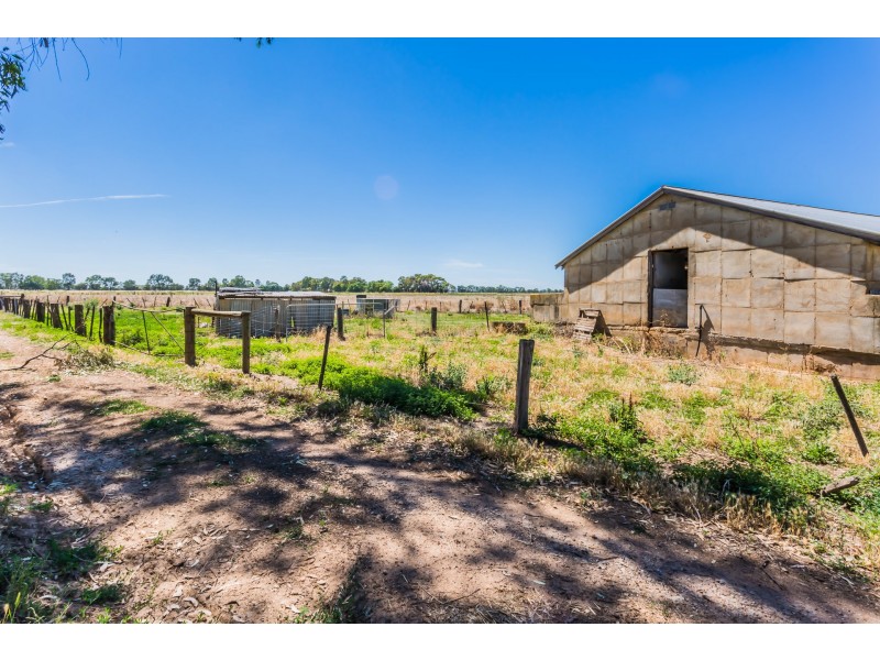1020 Murphy Road, Koyuga VIC 3622