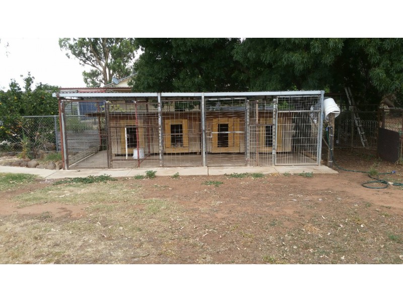 343 Traunson Road, Tennyson VIC 3572