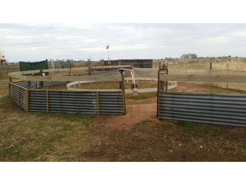 343 Traunson Road, Tennyson VIC 3572