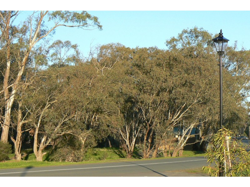 34 Grayson Terrace, Echuca VIC 3564