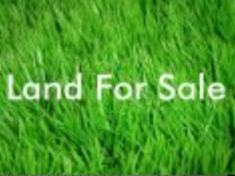 22 Rose Street, Echuca VIC 3564