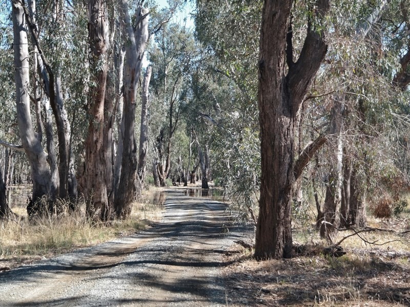 106 Braund Road, Echuca VIC 3564