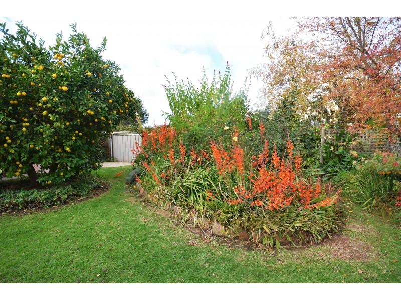 6 Alambee Way, Echuca VIC 3564