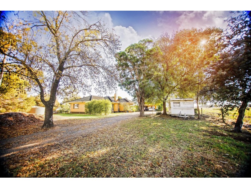 1220 Lowrie Road, Bamawm VIC 3561