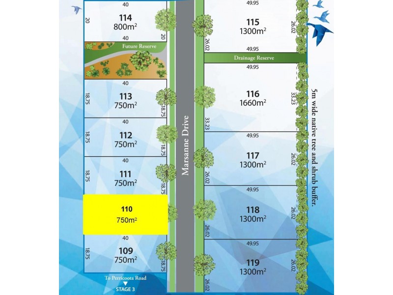 110 Marsanne Drive, Moama NSW 2731