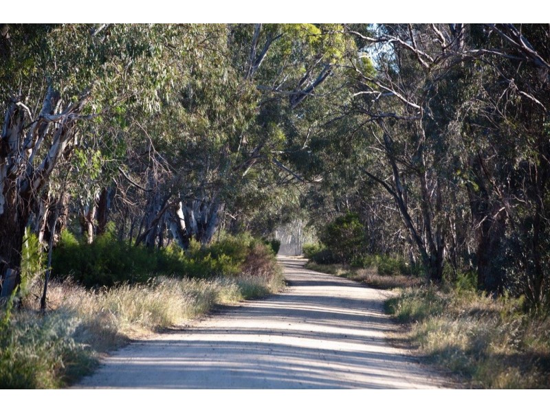 15 Kooyong Parklands, Woods Court, Moama NSW 2731