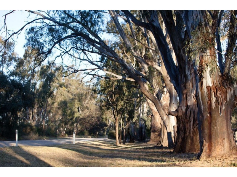 15 Kooyong Parklands, Woods Court, Moama NSW 2731