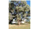 50 Livingstone Street, Mathoura NSW 2710
